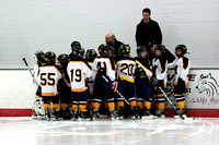 2013-1-6 Squirt AA Gold vs Blue